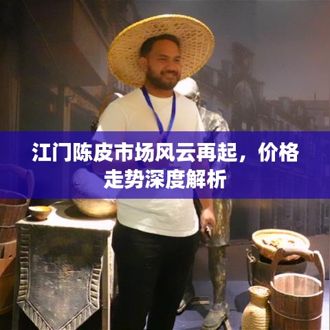 江门陈皮市场风云再起，价格走势深度解析