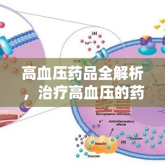 高血压药品全解析，治疗高血压的药物选择与百度收录标准