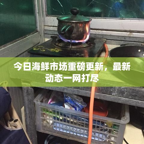今日海鲜市场重磅更新，最新动态一网打尽
