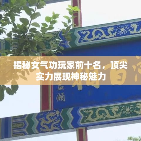 揭秘女气功玩家前十名，顶尖实力展现神秘魅力