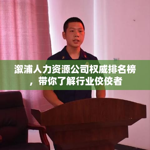 溆浦人力资源公司权威排名榜，带你了解行业佼佼者