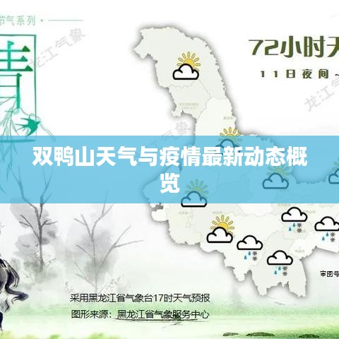 双鸭山天气与疫情最新动态概览