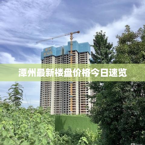 潭州最新楼盘价格今日速览