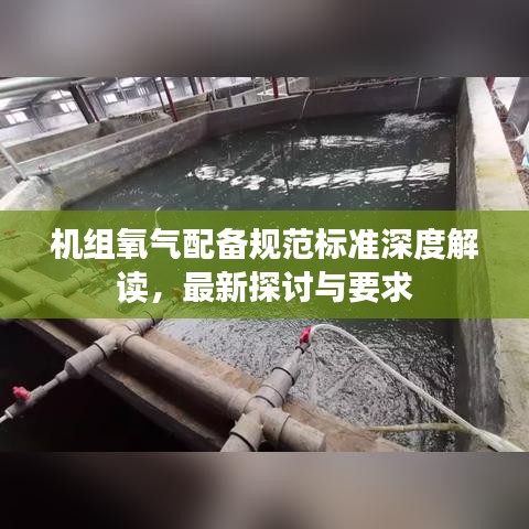 机组氧气配备规范标准深度解读，最新探讨与要求
