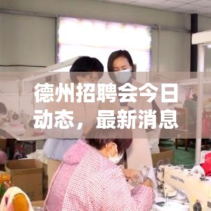 德州招聘会今日动态，最新消息速递