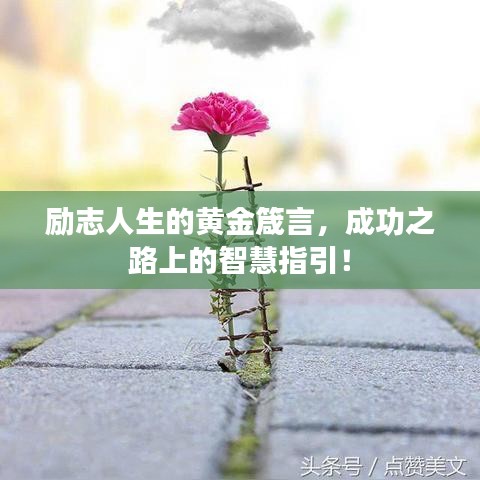 励志人生的黄金箴言，成功之路上的智慧指引！
