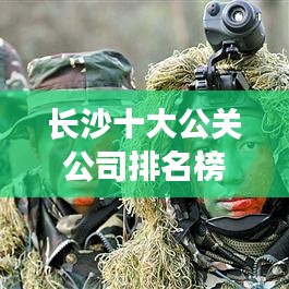 长沙十大公关公司排名榜揭晓，行业佼佼者一网打尽！