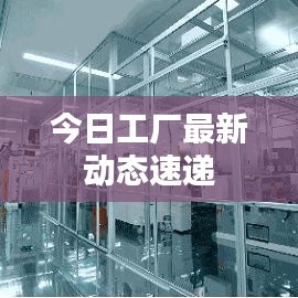 今日工厂最新动态速递