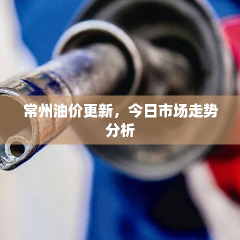 常州油价更新，今日市场走势分析