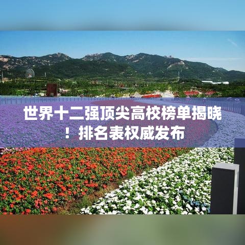 世界十二强顶尖高校榜单揭晓！排名表权威发布