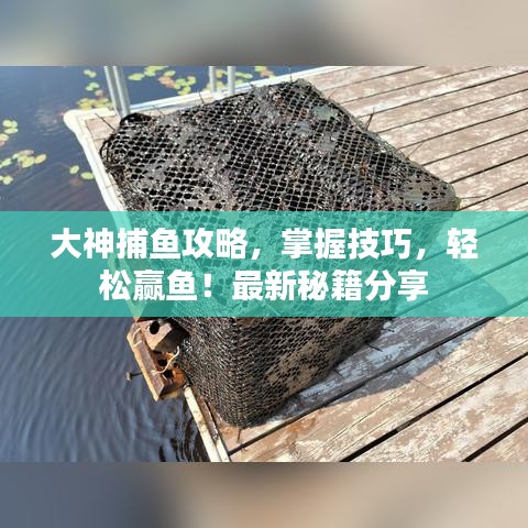 大神捕鱼攻略，掌握技巧，轻松赢鱼！最新秘籍分享