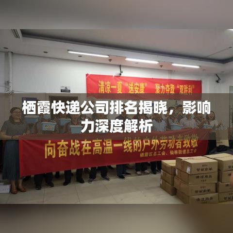 栖霞快递公司排名揭晓，影响力深度解析