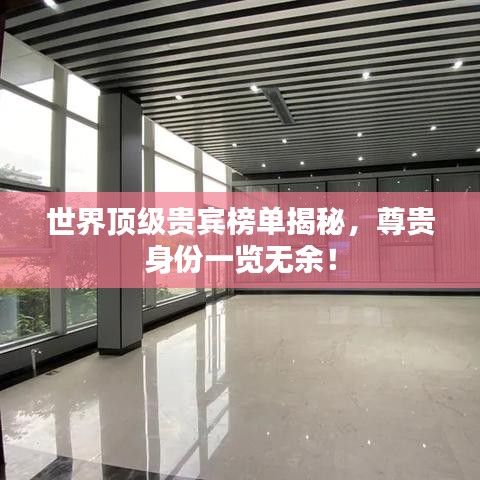 世界顶级贵宾榜单揭秘，尊贵身份一览无余！
