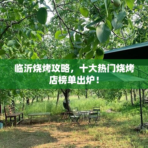 临沂烧烤攻略，十大热门烧烤店榜单出炉！