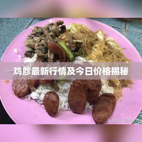 鸡胗最新行情及今日价格揭秘