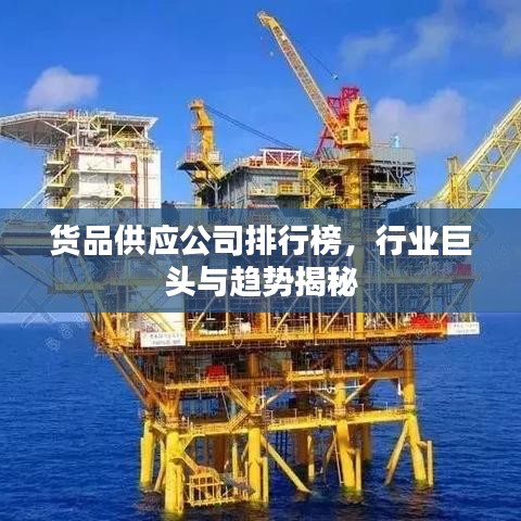 货品供应公司排行榜，行业巨头与趋势揭秘