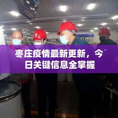 枣庄疫情最新更新，今日关键信息全掌握