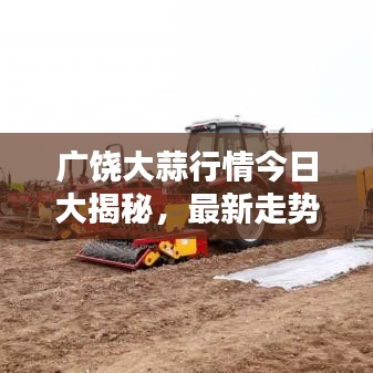 广饶大蒜行情今日大揭秘，最新走势分析！