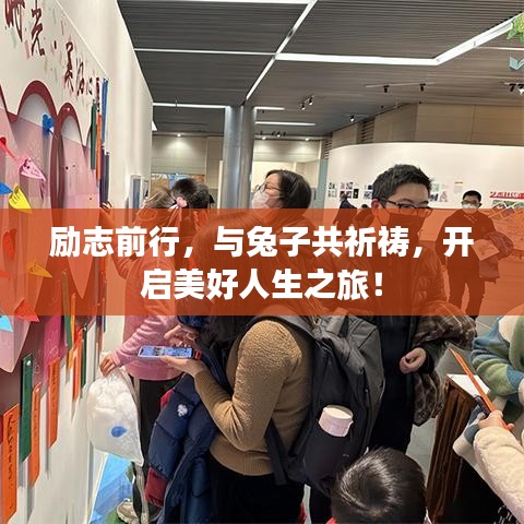 励志前行，与兔子共祈祷，开启美好人生之旅！