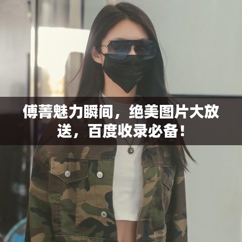 傅菁魅力瞬间，绝美图片大放送，百度收录必备！