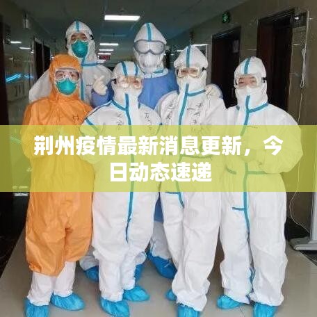荆州疫情最新消息更新，今日动态速递
