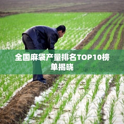 全国麻袋产量排名TOP10榜单揭晓