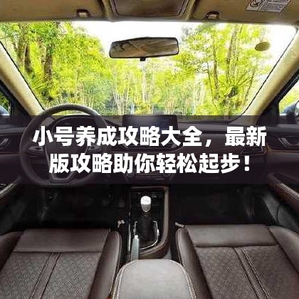 小号养成攻略大全，最新版攻略助你轻松起步！