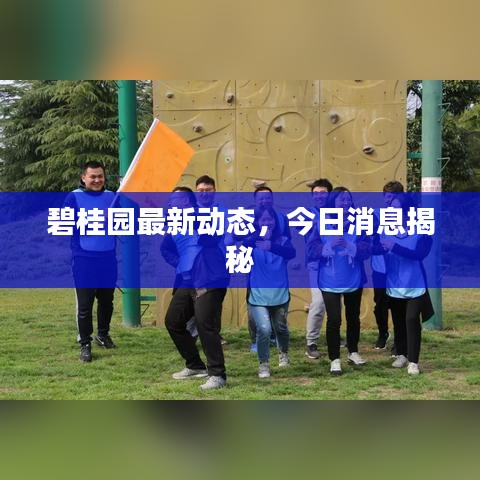 碧桂园最新动态，今日消息揭秘