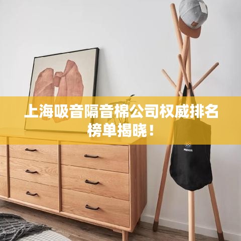 上海吸音隔音棉公司权威排名榜单揭晓！