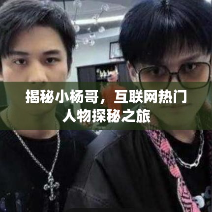 揭秘小杨哥，互联网热门人物探秘之旅