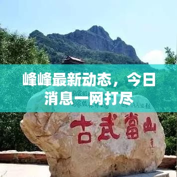 峰峰最新动态，今日消息一网打尽