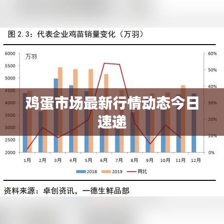 鸡蛋市场最新行情动态今日速递