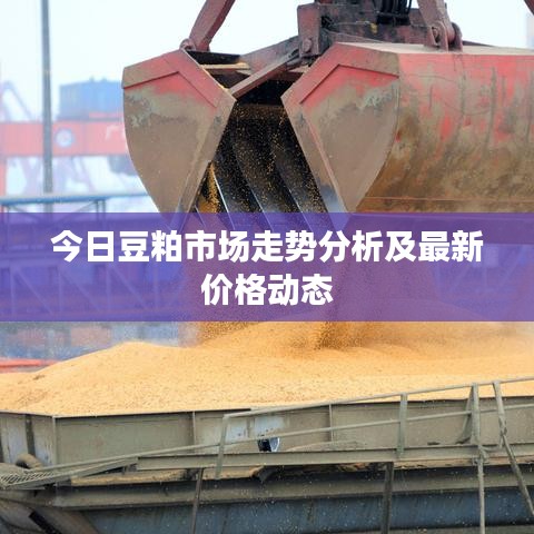 今日豆粕市场走势分析及最新价格动态