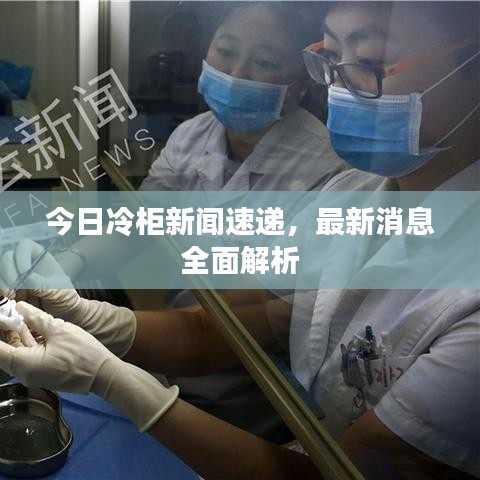 今日冷柜新闻速递，最新消息全面解析
