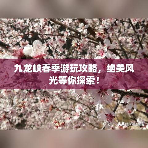 九龙峡春季游玩攻略，绝美风光等你探索！