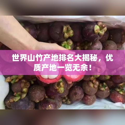 世界山竹产地排名大揭秘，优质产地一览无余！