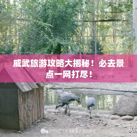 威武旅游攻略大揭秘！必去景点一网打尽！