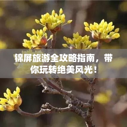 锦屏旅游全攻略指南，带你玩转绝美风光！