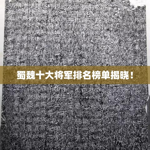 蜀魏十大将军排名榜单揭晓！