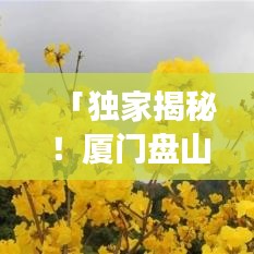 「独家揭秘！厦门盘山之旅的最佳攻略路线」