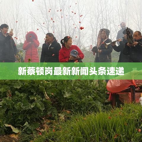 新蔡顿岗最新新闻头条速递
