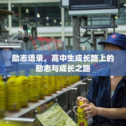 励志语录，高中生成长路上的励志与成长之路