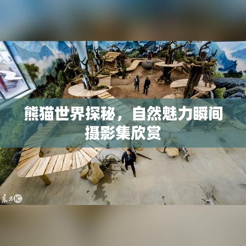 熊猫世界探秘，自然魅力瞬间摄影集欣赏