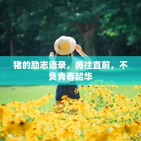 猪的励志语录，勇往直前，不负青春韶华