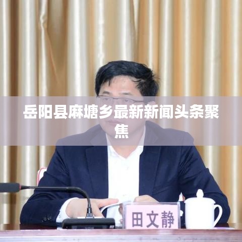 岳阳县麻塘乡最新新闻头条聚焦