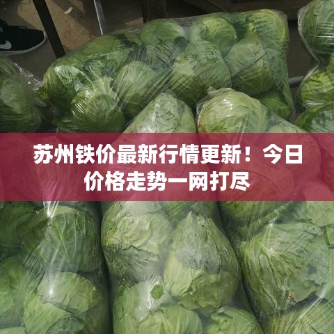 束装就道