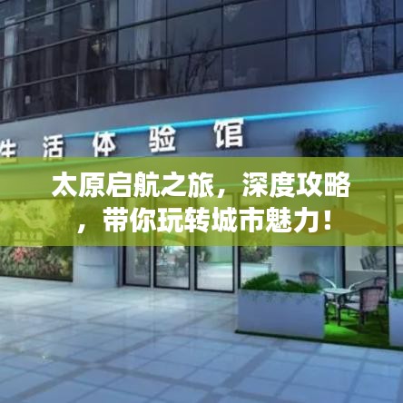 文质彬彬