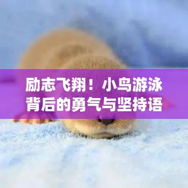 励志飞翔！小鸟游泳背后的勇气与坚持语录大全