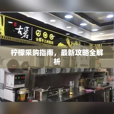 柠檬采购指南，最新攻略全解析