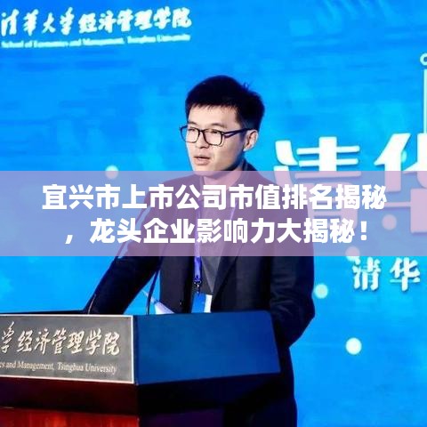 宜兴市上市公司市值排名揭秘，龙头企业影响力大揭秘！